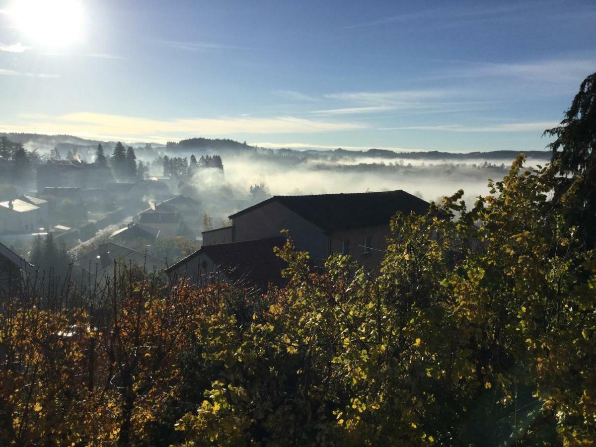 Bed and Breakfast Les Marronniers Saint-Didier-en-Velay Exterior foto